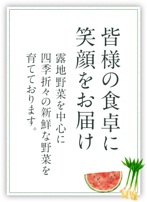 皆様の食卓に笑顔をお届け 露地野菜を中心に四季折々の新鮮な野菜を育てております。