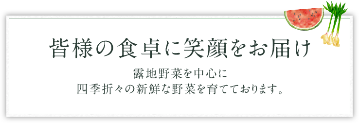 皆様の食卓に笑顔をお届け 露地野菜を中心に四季折々の新鮮な野菜を育てております。